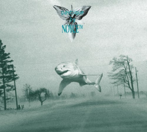 Noyce TM - Coma(tose)